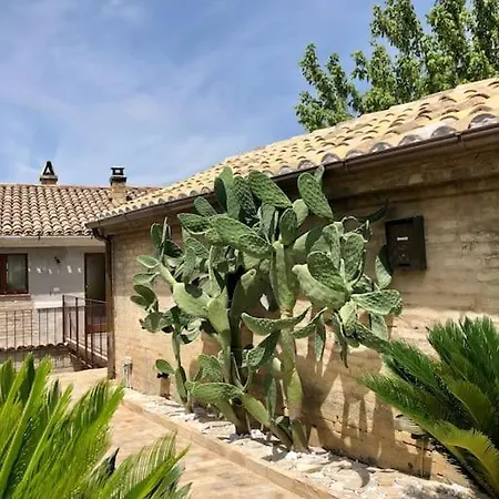 Casa Colonica Sulla Prima Collina Holiday home *